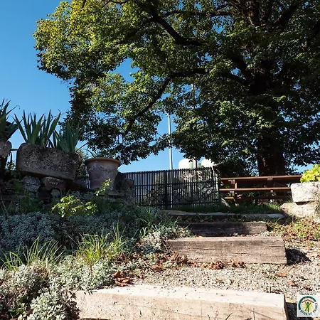 La Maison De Galut Palmas d'Aveyron